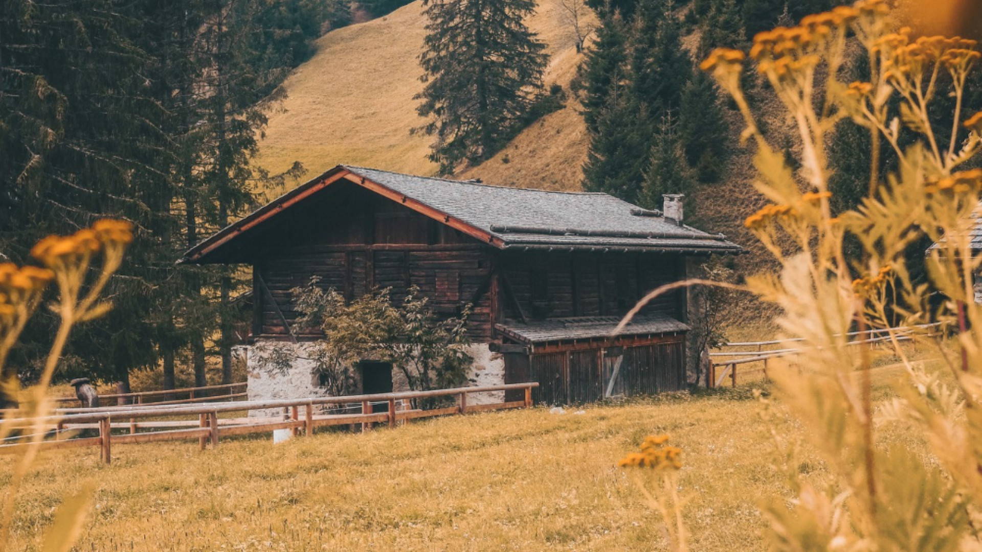 Découvrez le parfait chalet à Super-Besse pour votre prochain séjour